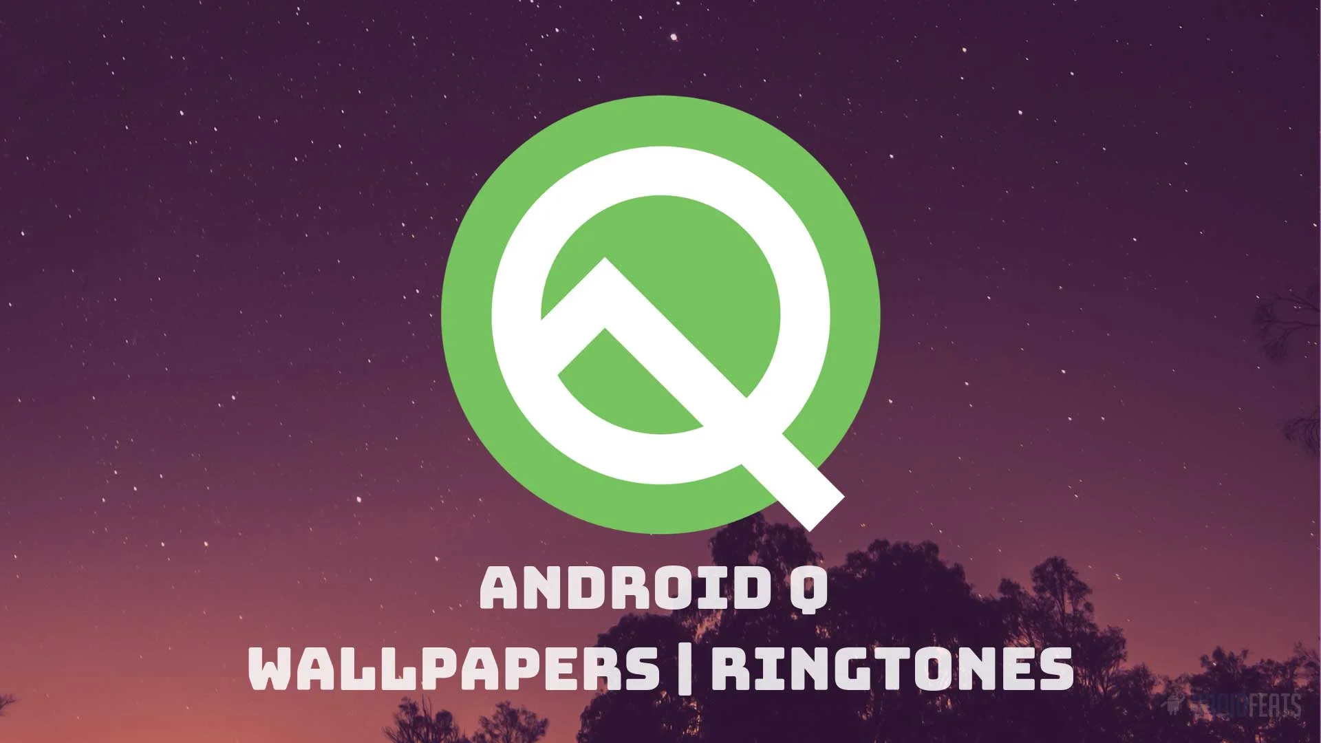 Download Android Q Stock Wallpapers and Ringtones