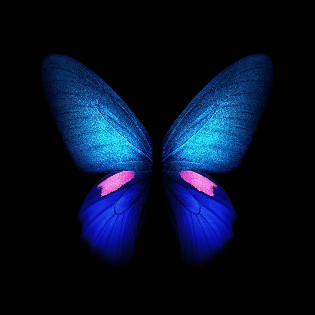 Download Galaxy Fold wallpapers and