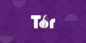 What facts do you need to know about Tor before starting to browse?